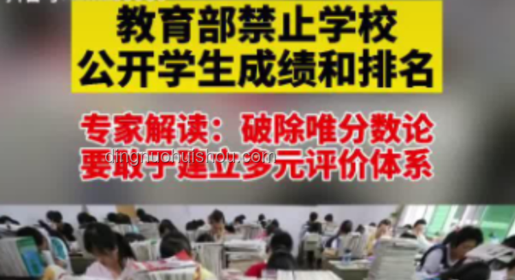 乡村助教视角下的10后小学生教育现状洞察
